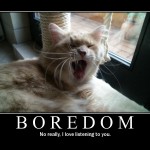 Life After Boredom
