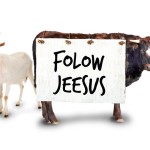 What Bulls & Goats Do These Days