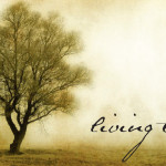 Top Five Tuesday -- Top Five Potential Sermon Series